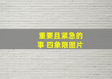 重要且紧急的事 四象限图片